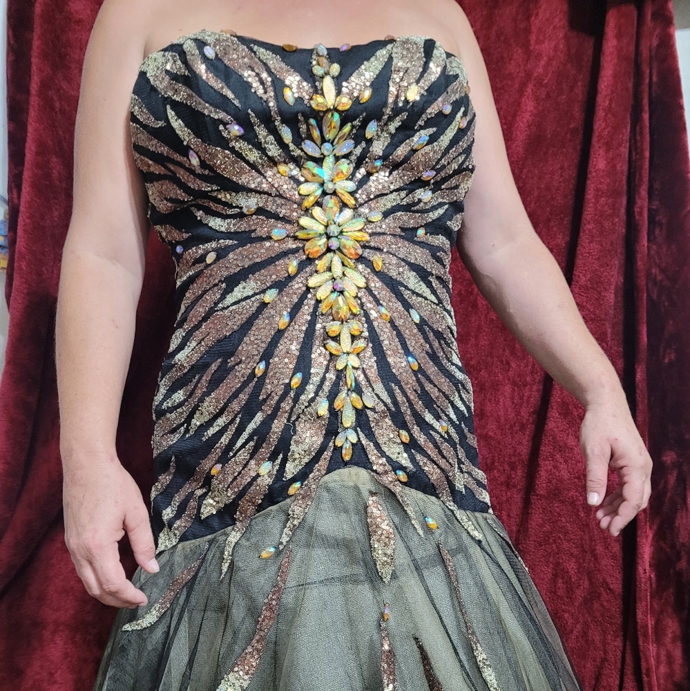 Pagent / prom gown